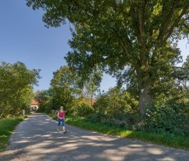 Hier sehen Sie ein Teilstück des Marianwanderwegs