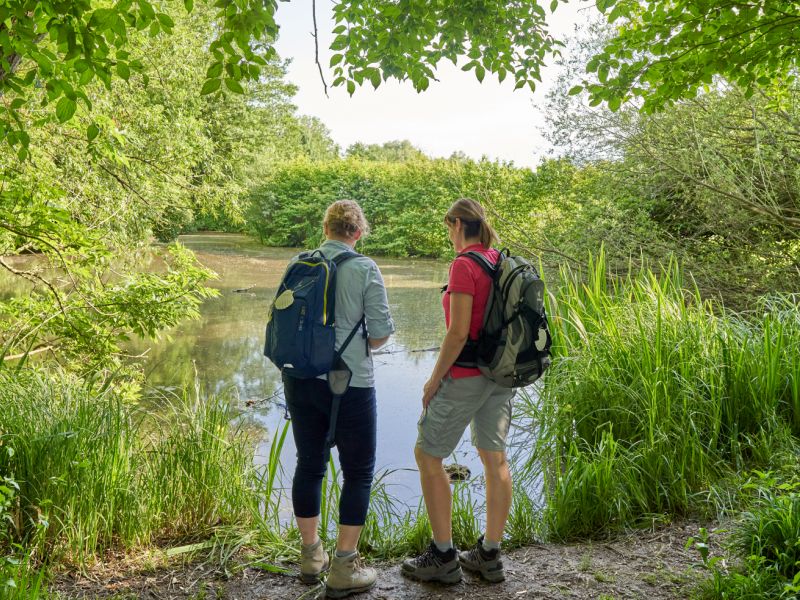 Hier sehen Sie Pilger am Jakobsweg