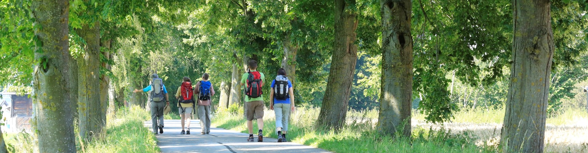 Eine kleine Pilgergruppe auf dem Georg Brenner Wanderweg Richtung Altötting.