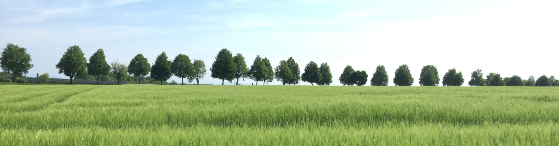 Hier sehen Sie eine Landschaft mit Alee in Altötting Süd, Graming an der Biergarten Tour