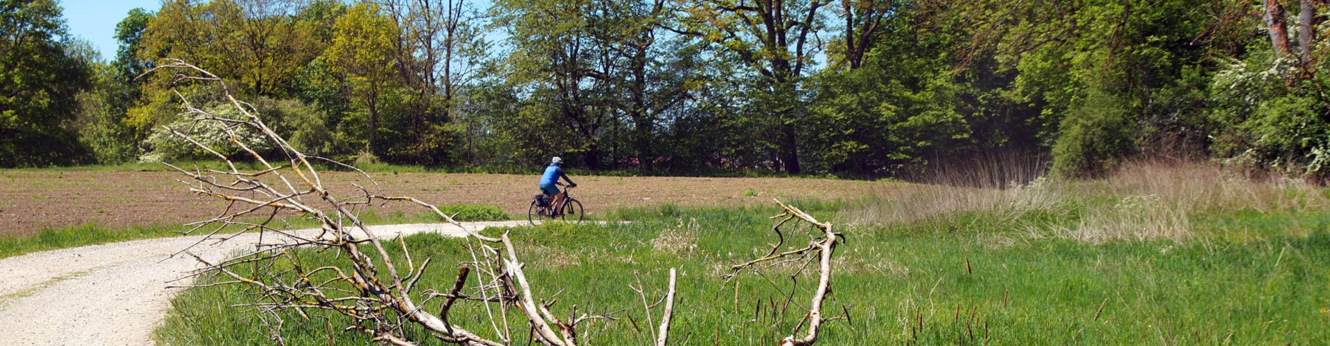 Fahrradfahrer in schöner Landschaft im Holzland