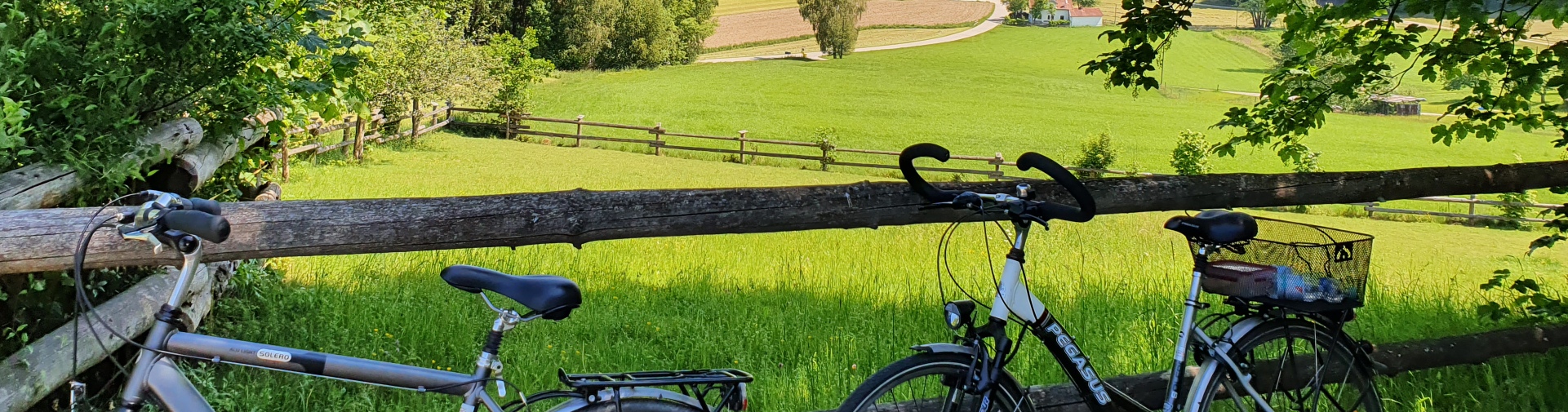 Zwei Fahrräder lehnen an einem Zaun vor einer Weide