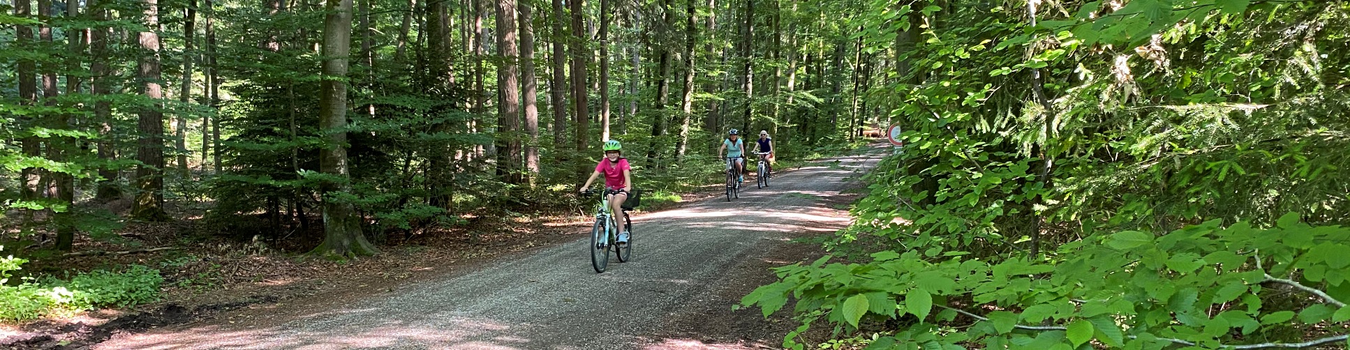 Fahrradfahrer im Wald