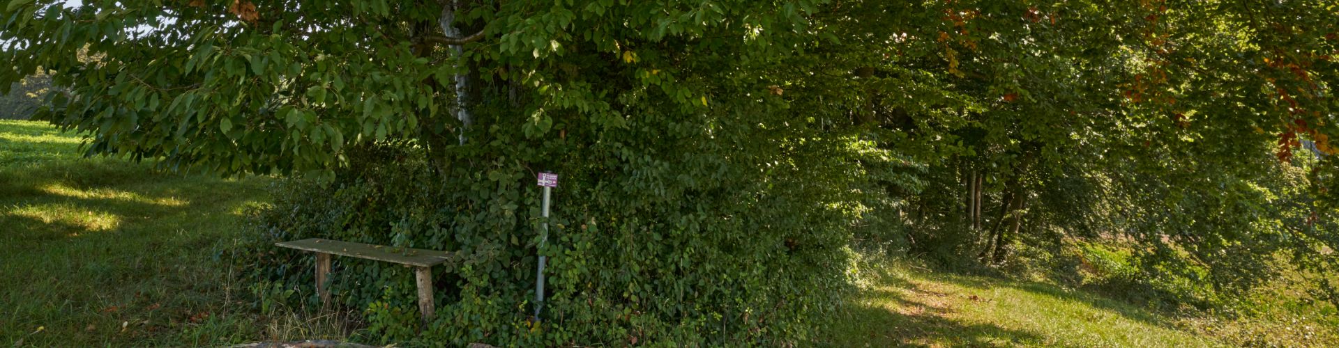 Hier sehen Sie eine Bank auf dem St. Rupert Pilgerweg