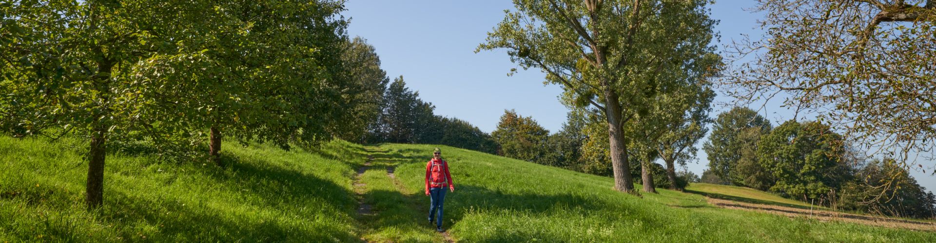 Hier sehen Sie einen Pilger auf dem Rupertweg 