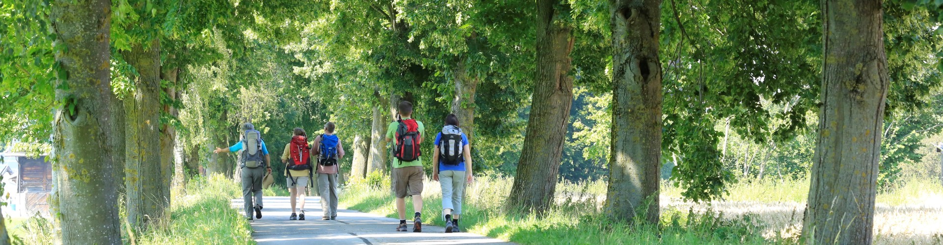 Eine kleine Pilgergruppe auf einem Wanderweg Richtung Altötting.