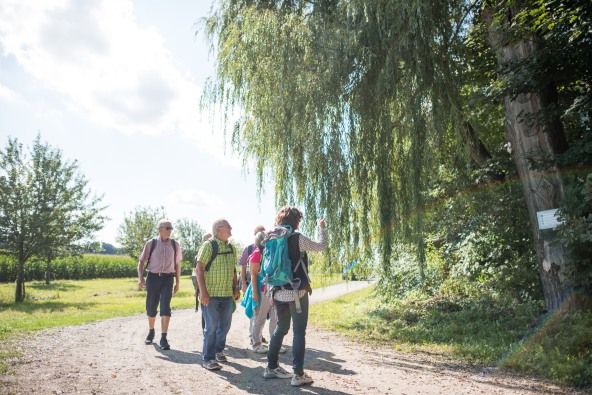 Eine kleine Pilgergruppe, die auf einem Pilgerweg Richtung Altötting pilgern.