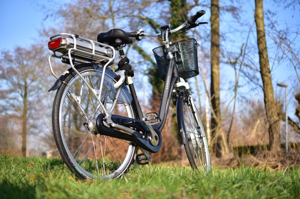 Ein E-Bike steht auf einer Wiese. 