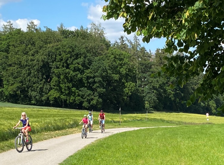 Fahradfahrer auf Forststraße 