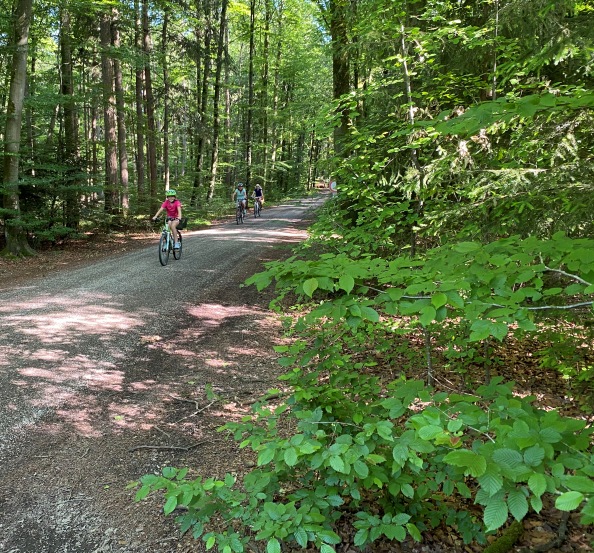 Fahradfahrer im Öttinger Forst