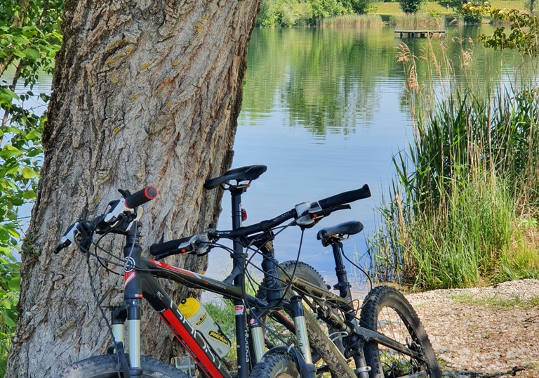 Fahrräder lehnen am Baum am Peracher Badesee 