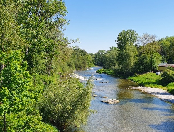 Hier sehen Sie eine schöne Naturlandschaft an der Alz