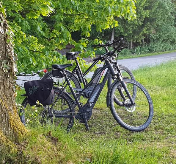 Zwei E-Beiks in der Natur