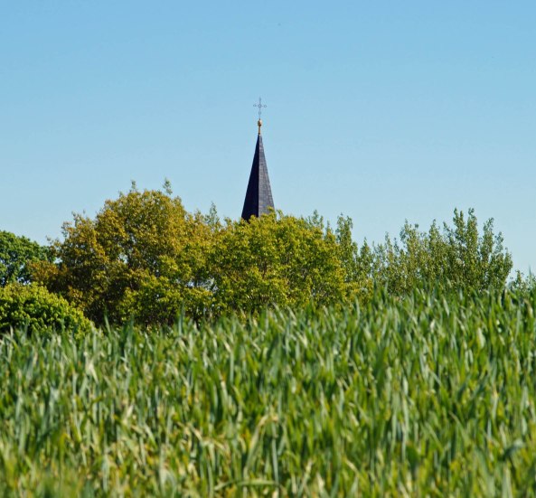 Versteckte Kirche hinter Feld und Büschen