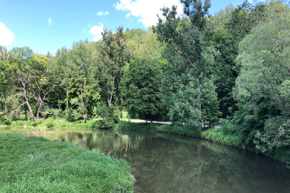 Hier sehen Sie ein Naturbild an der Isen bei Winhöring