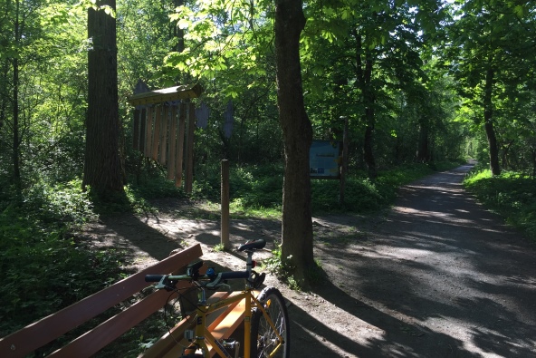 Hier sehen Sie den Naturerlebnisweg Innau, eine Attraktion für Groß und Klein