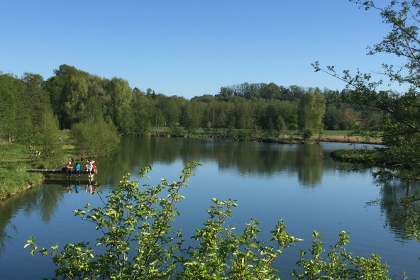 Hier sehen Sie die Seelandschaft am Flossinger See