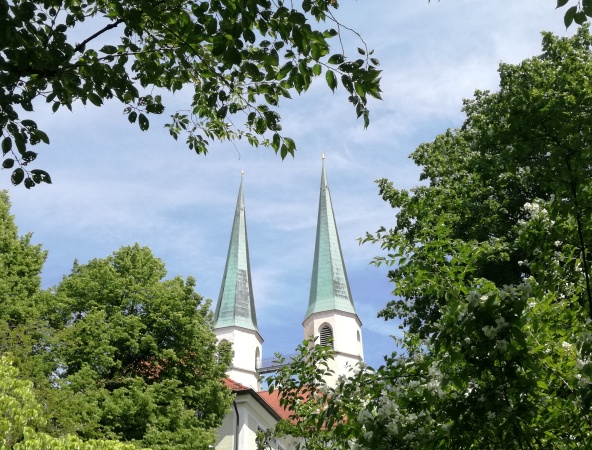 Hier sehen Sie die Gockel auf der Stiftskirche