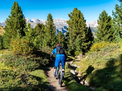 Hier sehen Sie einen Mountainbiker in den Alpen