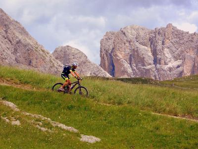 Mountainbiken in den Alpen