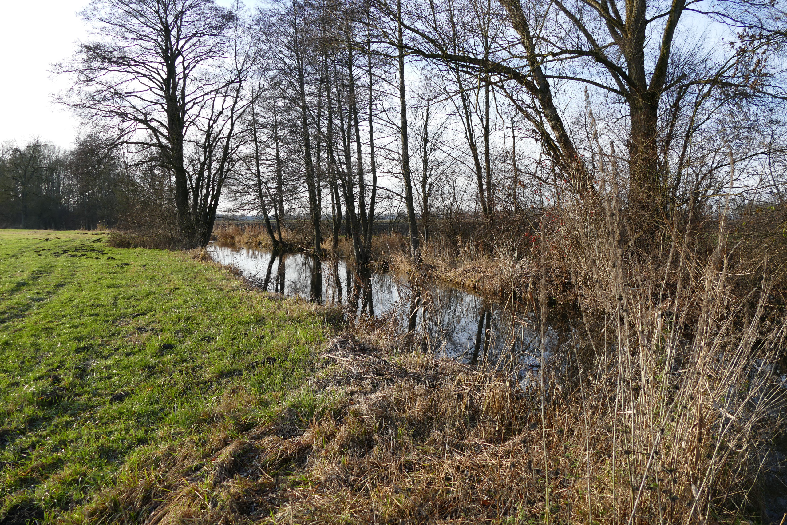 Wanderung in der Osterwies 