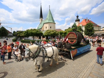 Hier sehen Sie den Dultauszug