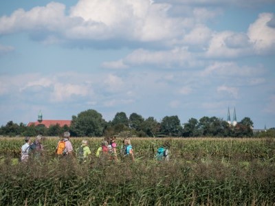 Eine Pilgergruppe ist zu Fuß nach Altötting unterwegs.