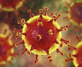 Virus Virus