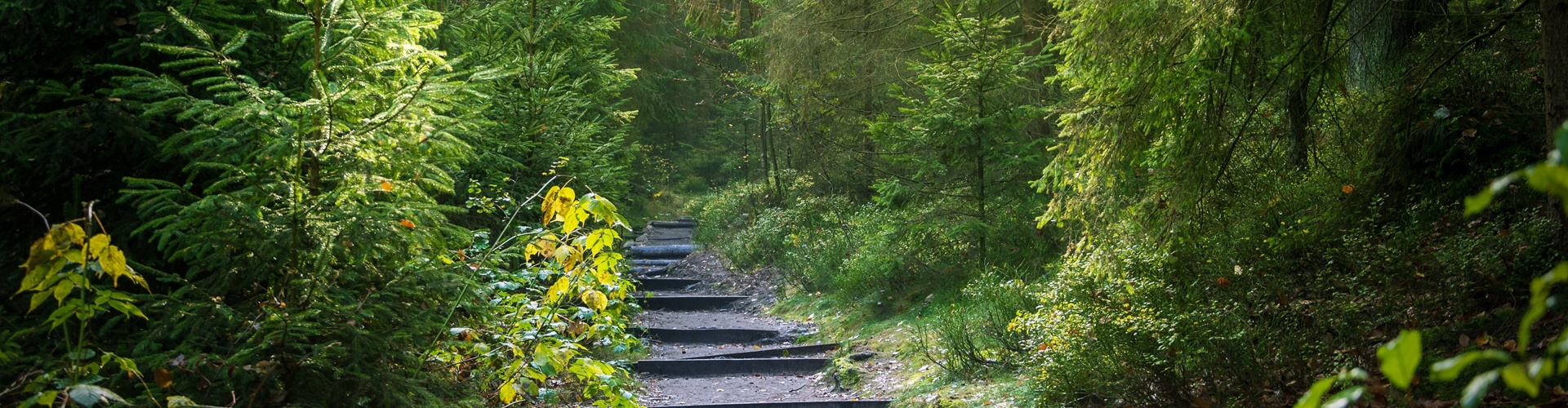 Stadt Altötting, Naturerlebnispfad, Foto: Pixabay