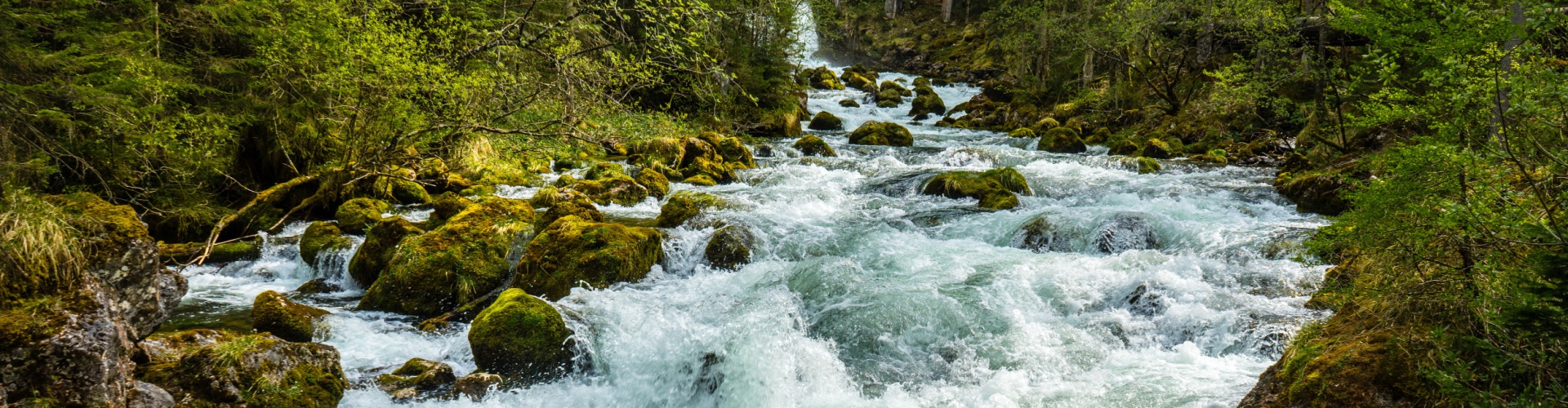 Stadt Altötting, Bach in der Natur, Foto: Pixabay
